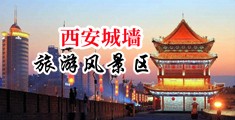 屄网站在线视频中国陕西-西安城墙旅游风景区